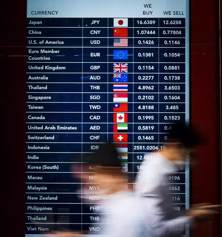Understanding Foreign Exchange Market Dynamics