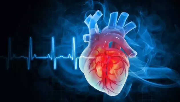 iRhythm Technologies: A Holistic Approach to Cardiac Monitoring