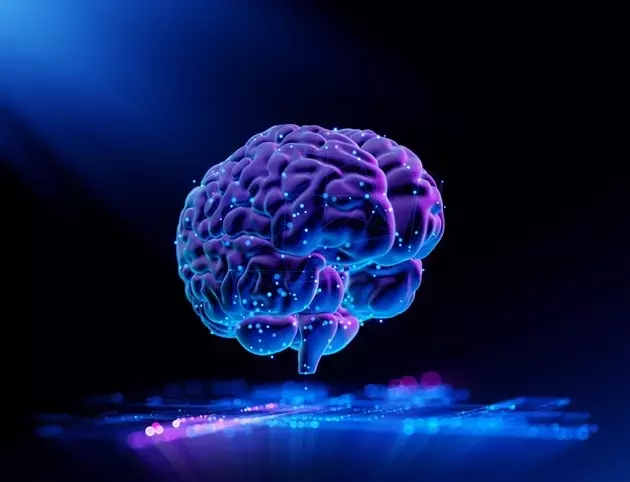 Rapport Therapeutics: A Promising Horizon in Neurological Disorder Treatment