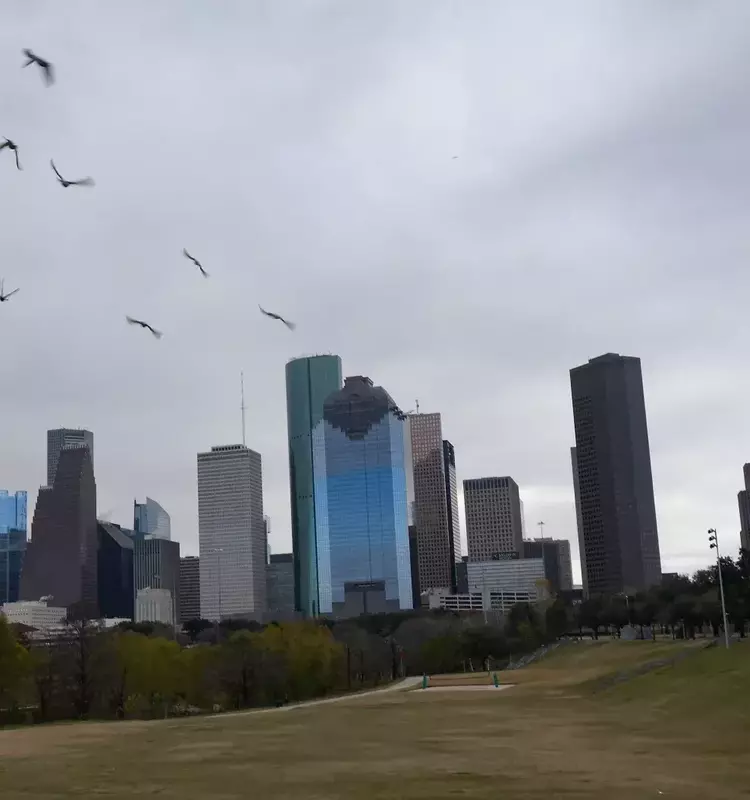 Houston: An Ideal Retirement Destination
