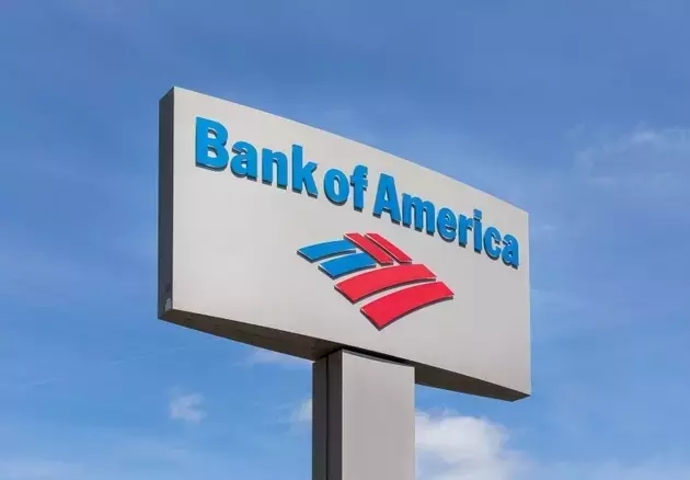 Preferred Shares of Bank of America: A Stable Income Opportunity for Investors