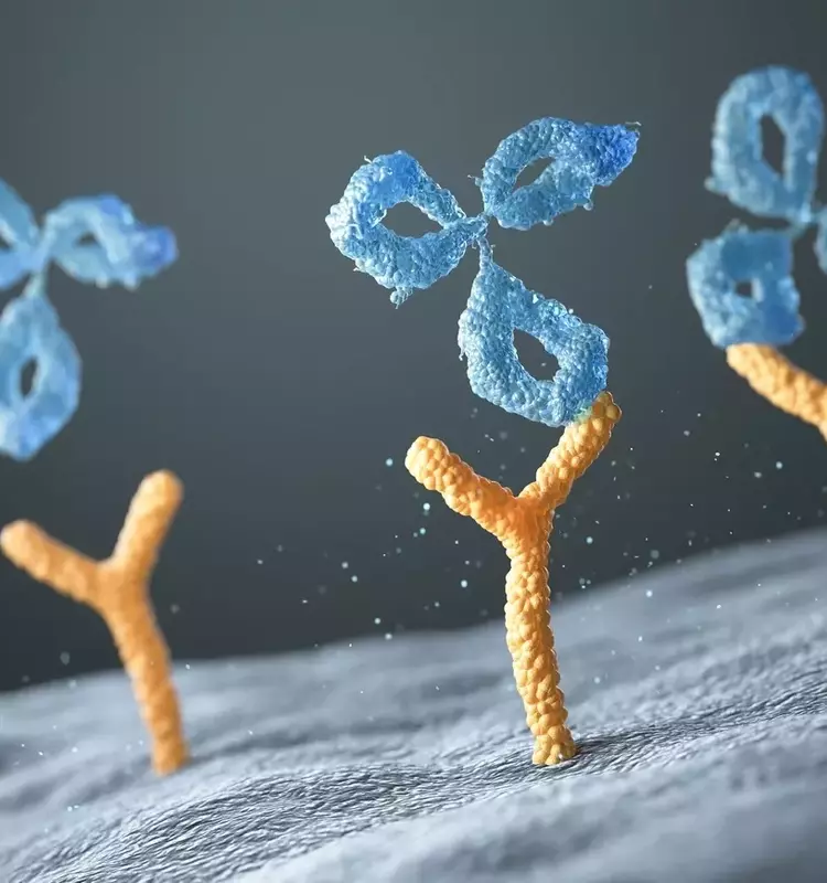 Regeneron's August Momentum: Dupixent's Dominance and New Drug Approval