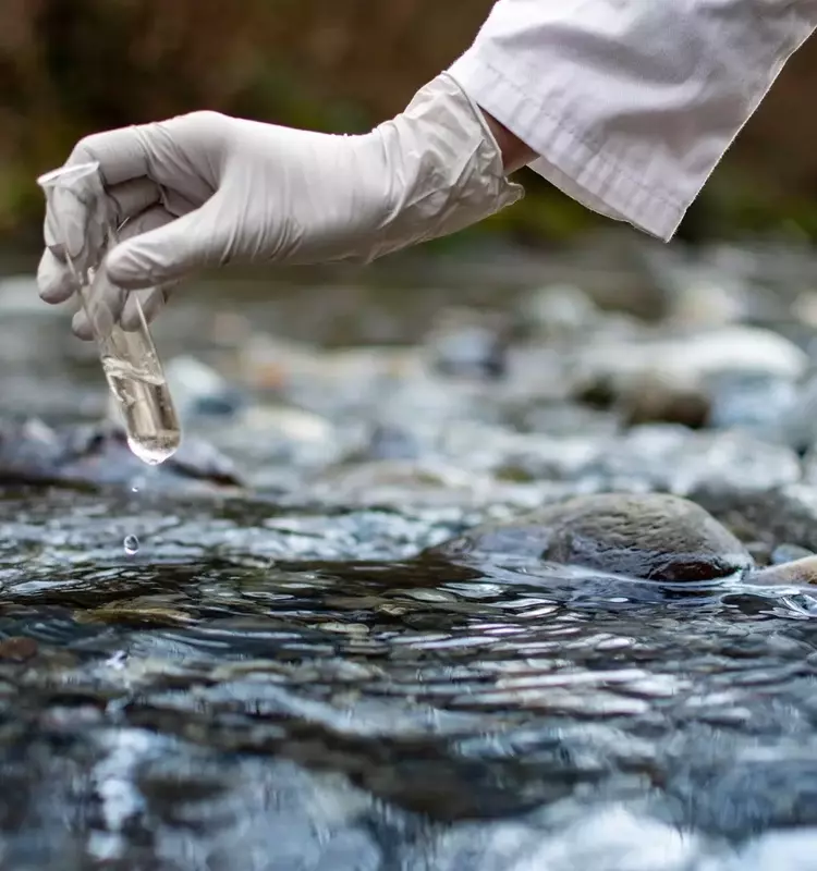 Hawkins: A Deep Dive into a Niche Chemical Distributor's Market Position and Future Prospects