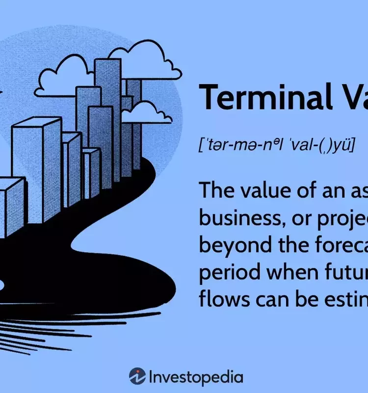 Understanding Terminal Value in Financial Analysis