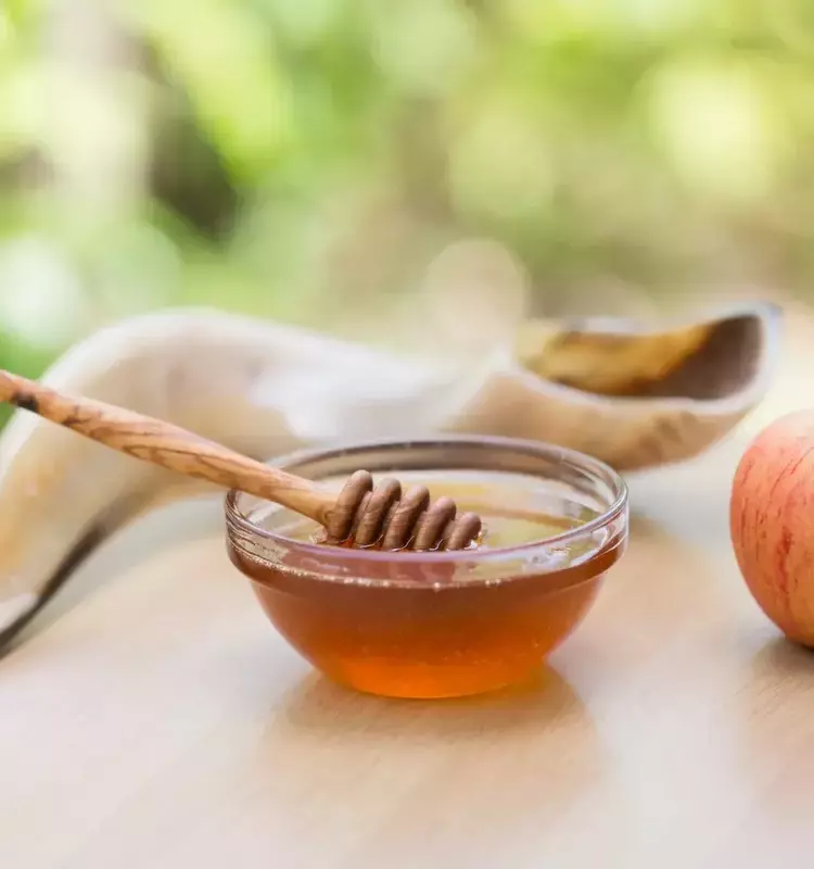 Engaging Children in Rosh Hashanah Traditions