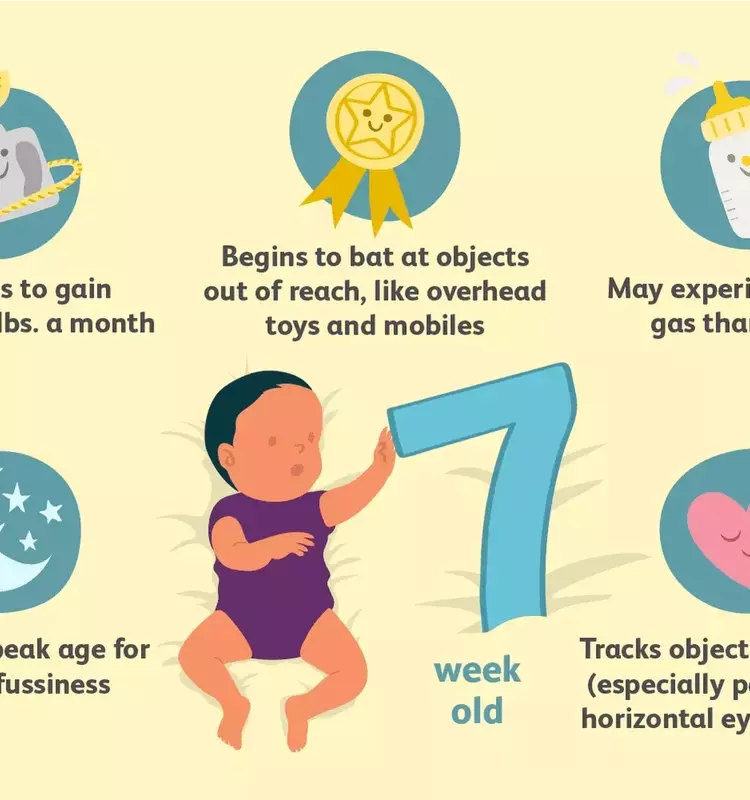 Navigating the 7th Week: Your Baby's Journey of Growth and Discovery